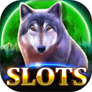 teen patti rummy gold 51 bonus